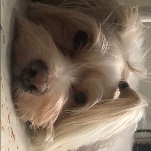 Meet your Posher, Jill